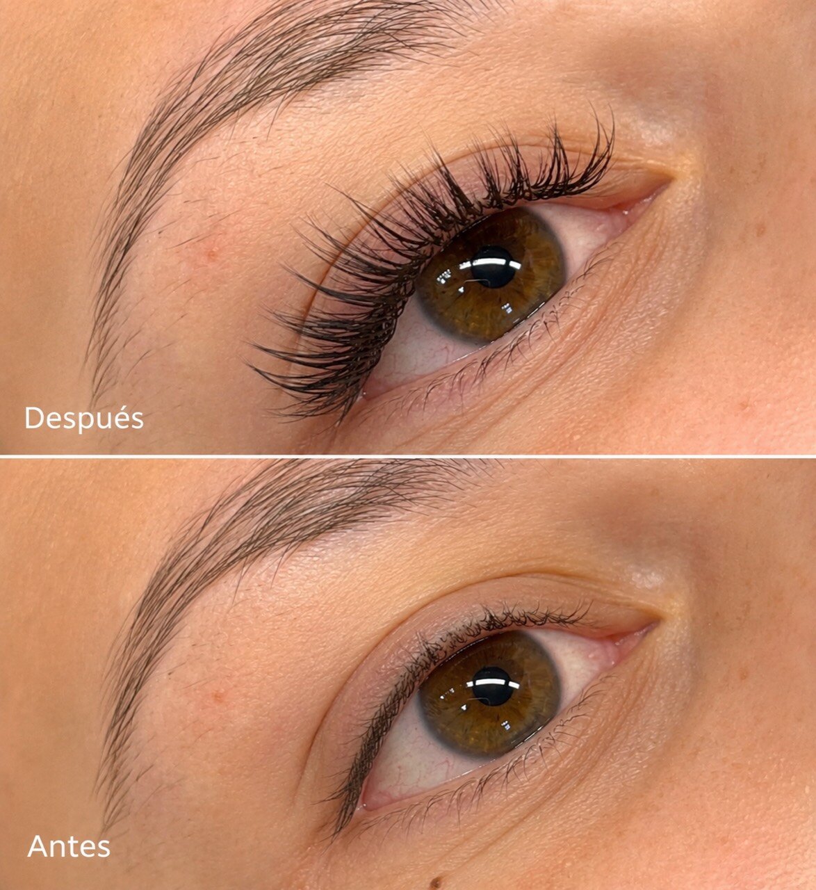 Antes y después de extensiones de pestañas en ojo color avellana